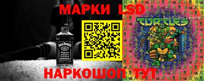 молекула духа Краснознаменск