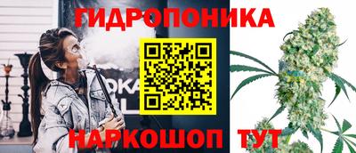 молекула духа Краснознаменск